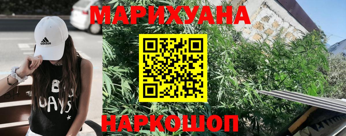 Конопля сатива Саяногорск